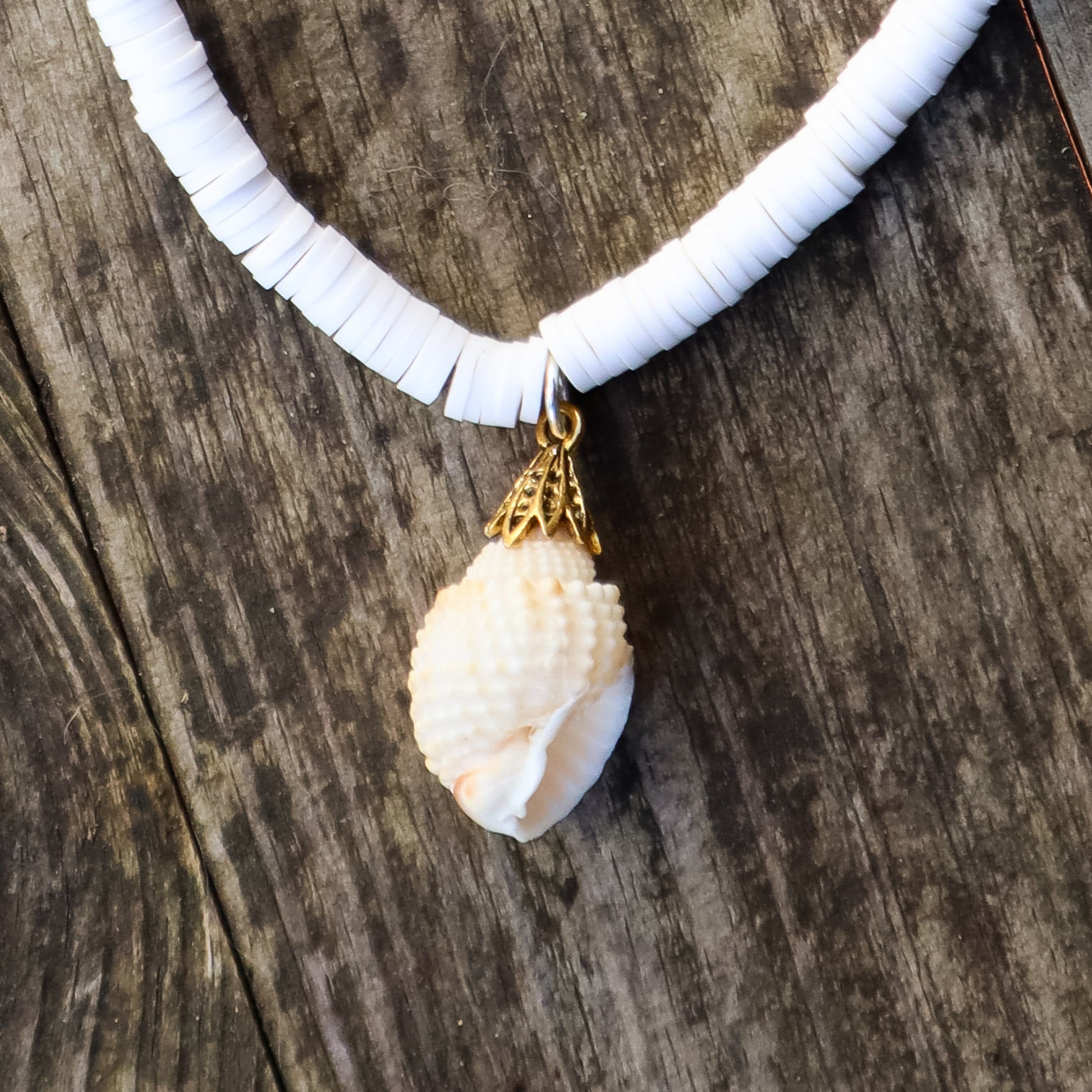 Necklace with a shell pendant on a wooden surface